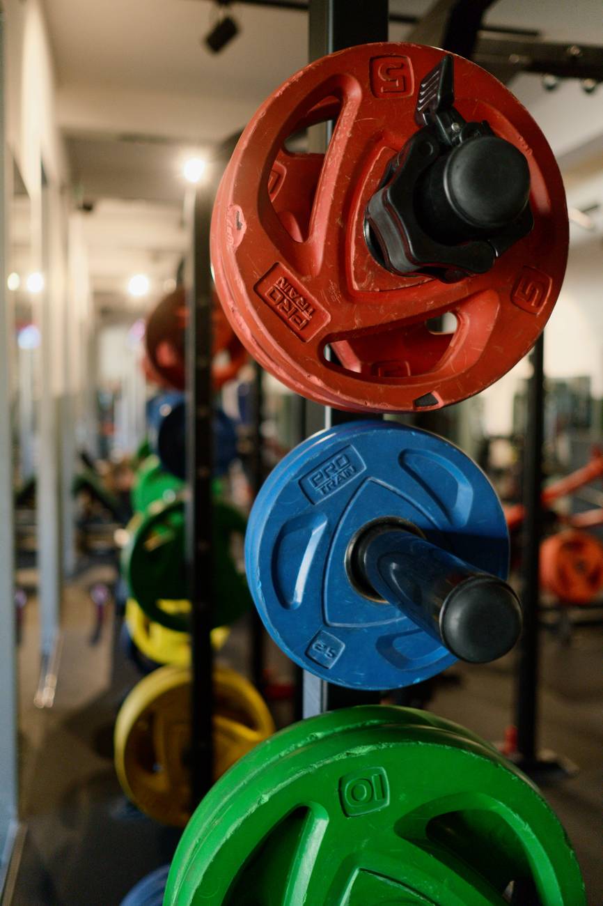 weight plates in different colors